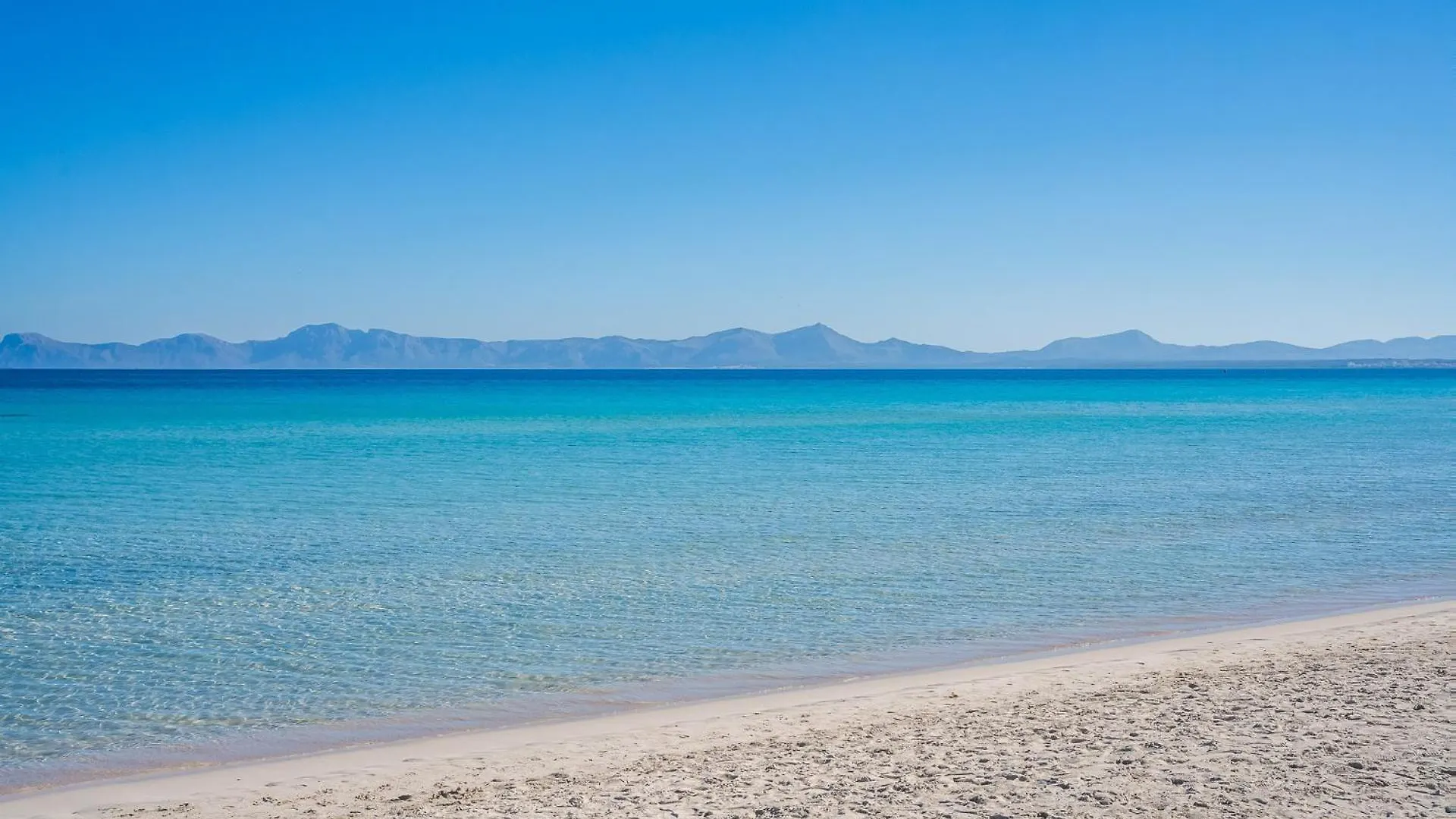 Ideal Property Mallorca - Sort Llarga Pollenca Spain